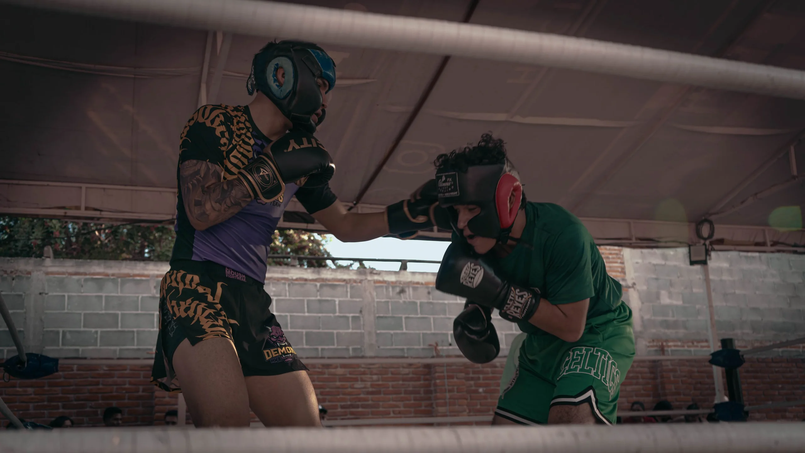 Acceso Exclusivo para Coaches, Tu Panel Privado en DEMONS MMA